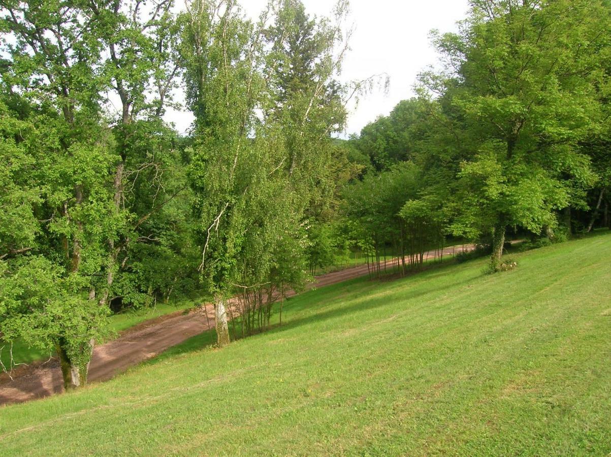 Le Domaine De Rochefort Dissangis Экстерьер фото